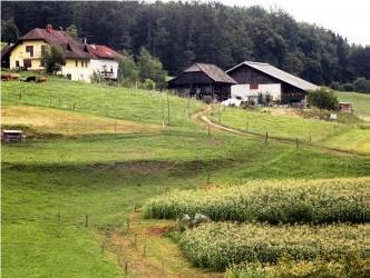 Ekološka kmetija Zabukove
